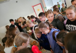 Tydzień Budowania Relacji – Tydzień Przeciwdziałania Przemocy Rówieśniczej – Tydzień Szczęścia w Szkole
