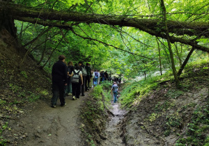7b i 7e w Kazimierzu Dolnym