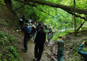 7b i 7e w Kazimierzu Dolnym