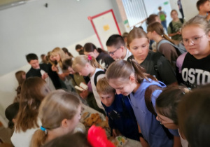 Tydzień Budowania Relacji – Tydzień Przeciwdziałania Przemocy Rówieśniczej – Tydzień Szczęścia w Szkole